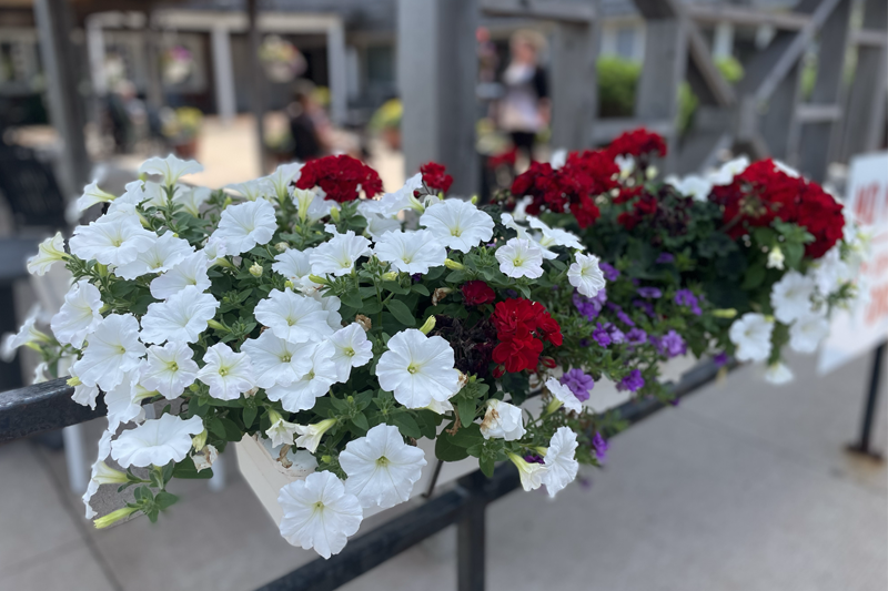 Drew Nursing Home, Sackville, NB